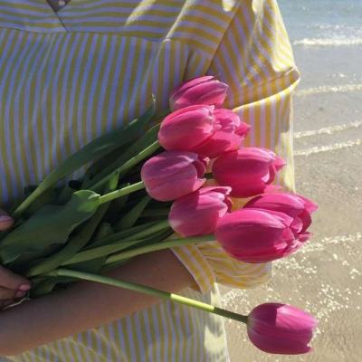 桌面飞车选关版